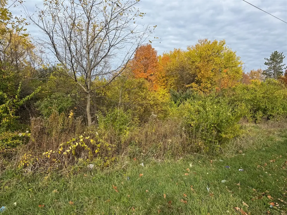 179 Collins, Benton Harbor, MI 49022 - #1