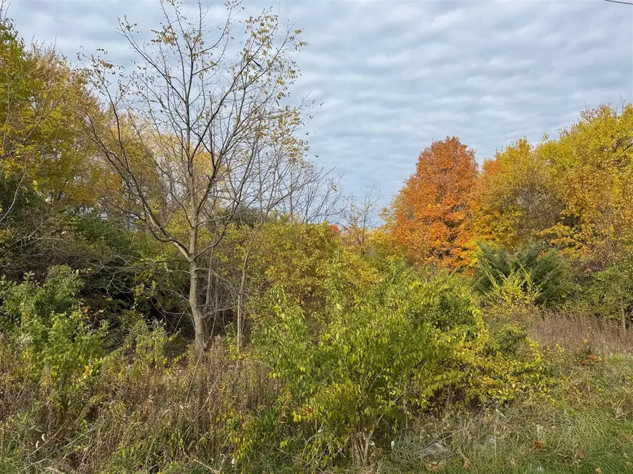 179 Collins, Benton Harbor, MI 49022 - #3