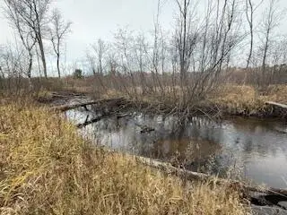 438 E 32nd, Baldwin, MI 49304