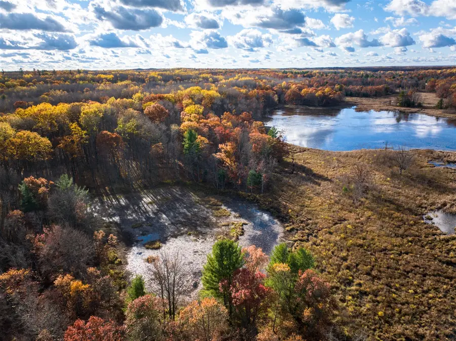 8686 East 3 Mile, White Cloud, MI 49349 - #2