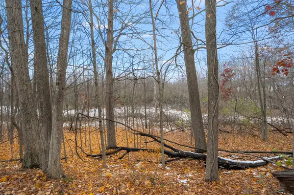 00000 22nd, Lawton, MI 49065