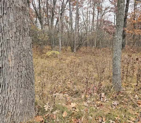 V/L Woodbridge Drive, Bitely, MI 49309