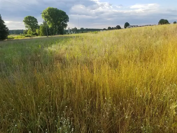 859 Greystone, Chelsea, MI 48118