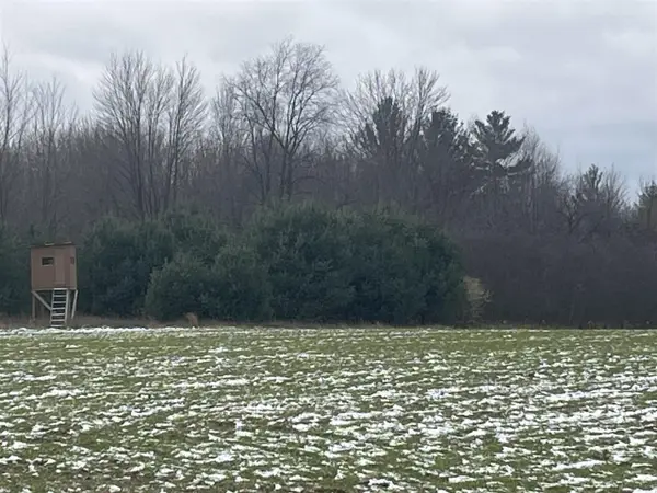 Par A Nimberger, Lakeview, MI 48850