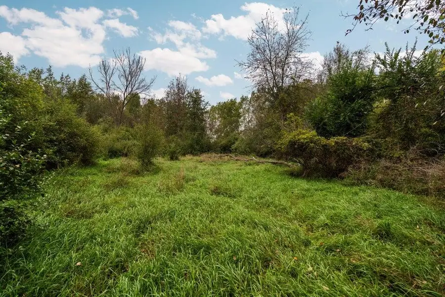 Lot 32&37 N Ann, Fowlerville, MI 48836 - Image #3