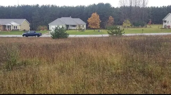 Long Wood, Traverse City, MI 49685