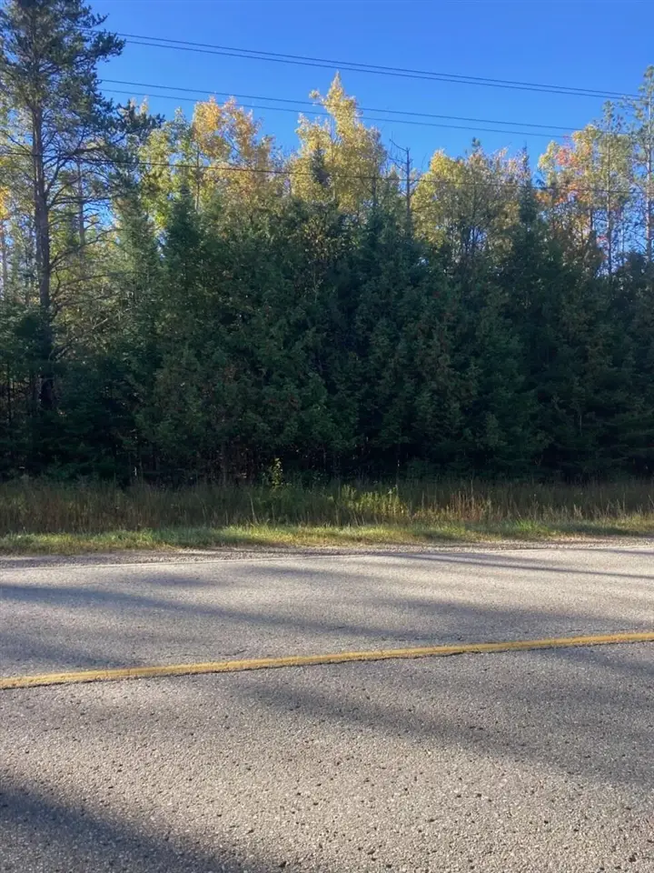 9165 Afton, Afton, MI 49705 - #1