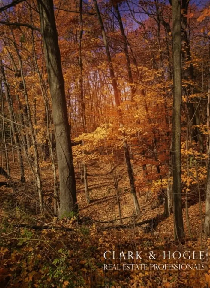 0 Lakeside, Perrinton, MI 48871 - #1