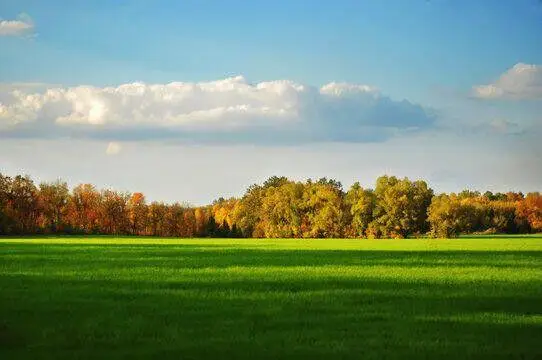 3220 N Hideaway, Caledonia, MI 49316 - #1