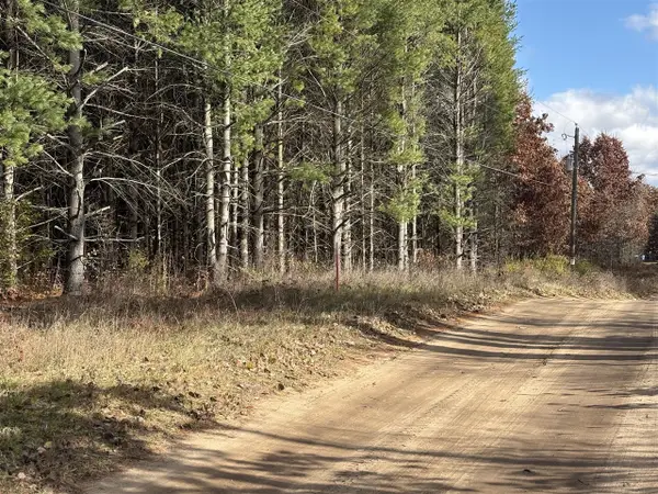 0 W Tamarack, Newaygo, MI 49337