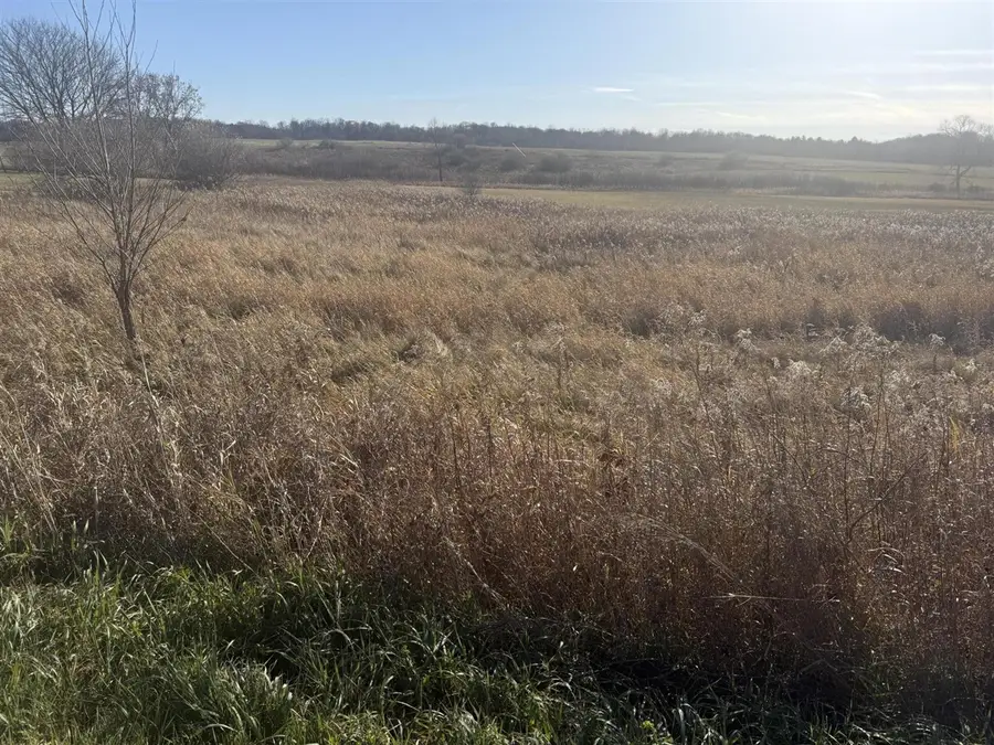 18 Mile, Big Rapids, MI 49307 - Image #3