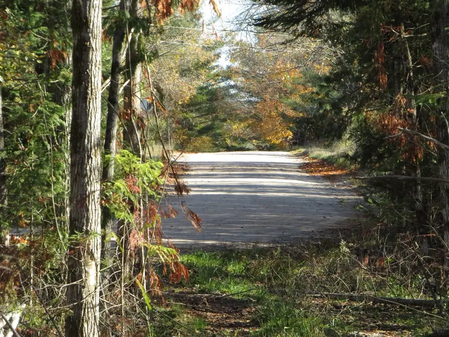 Vl Mcclouth, Levering, MI 49755 - Image #3