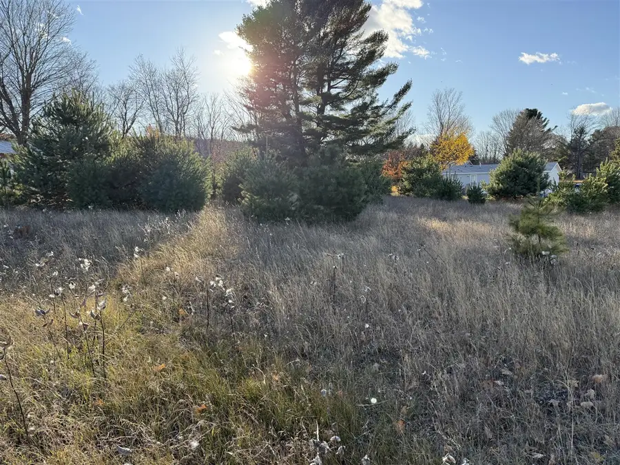 001 Ninth, Bear Lake, MI 49614 - #2