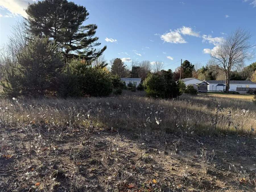 001 Ninth, Bear Lake, MI 49614 - #3