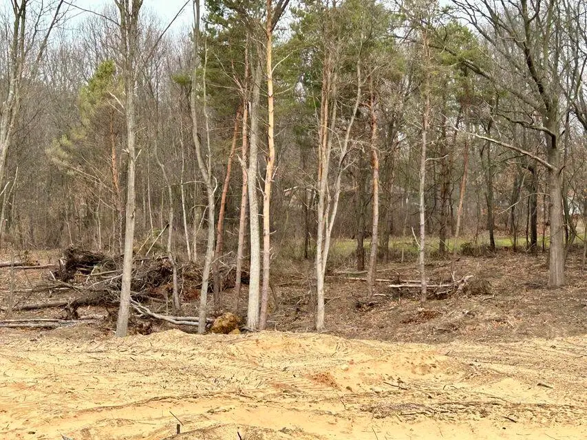 Bauman, Battle Creek, MI 49017 - #2