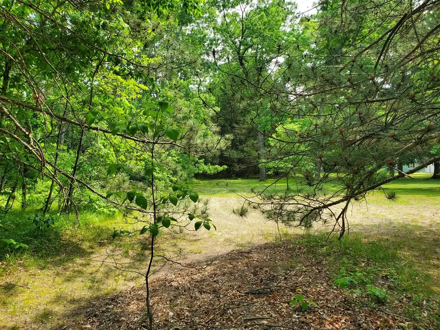 998 E Monroe, White Cloud, MI 49349 - Image #2