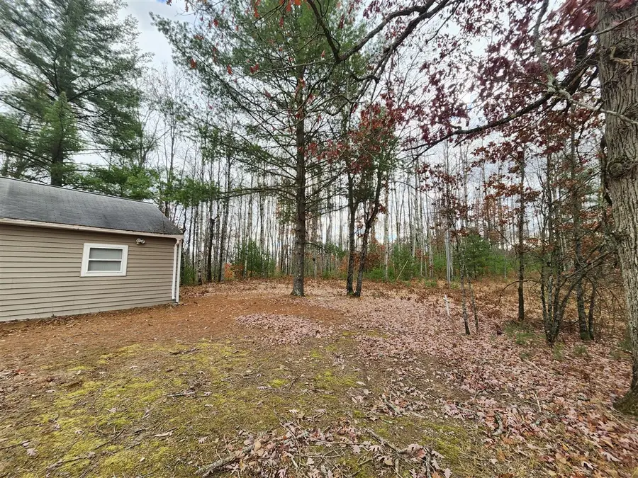 10544 N Lazy, Bitely, MI 49309 - #3