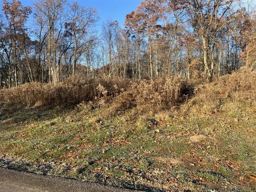 12873 Triple Oak, Lowell, MI 49331 - Image #3