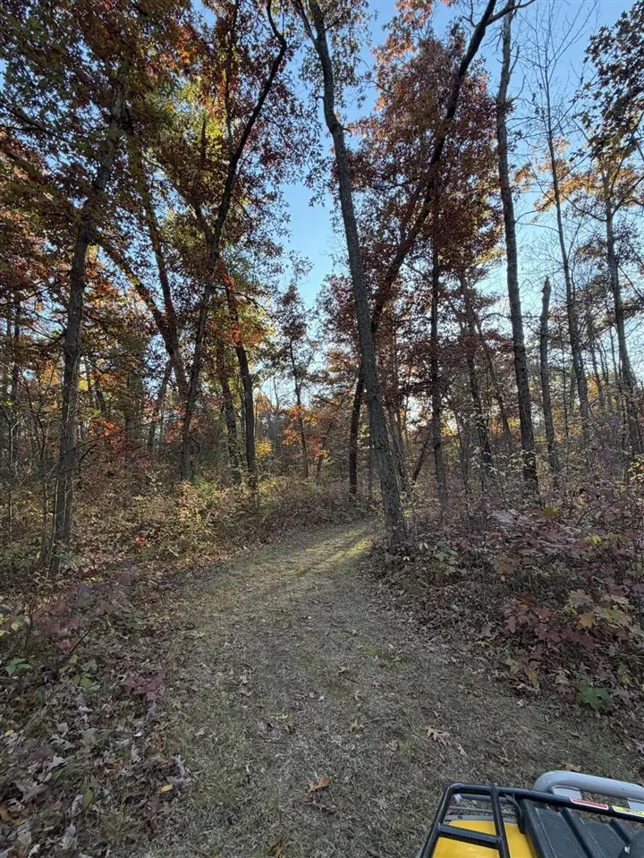 V/L Maple Hill, Howard City, MI 49329 - Image #3