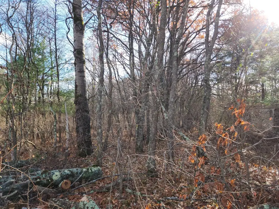 VL Us-10, Baldwin, MI 49304 - Image #2