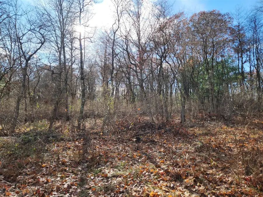 VL Us-10, Baldwin, MI 49304 - Image #3