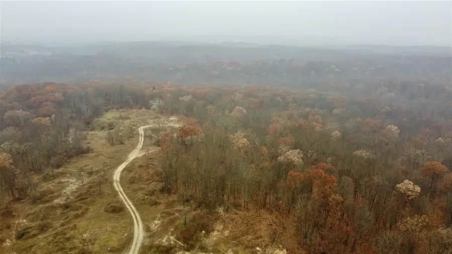 V/l 40 Acres 160th, Big Rapids, MI 49307 - Image #3