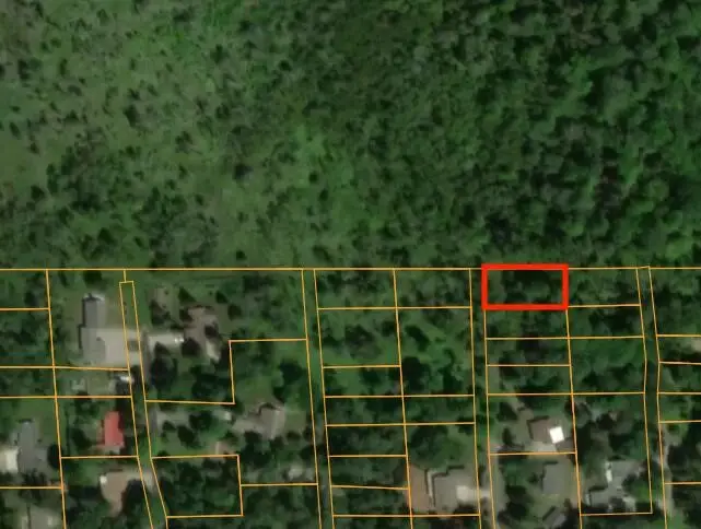 V/L .15A N Cottontail, Lincoln, MI 48742 - #1