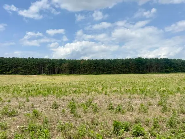 0 Seymour, Grass Lake, MI 49240