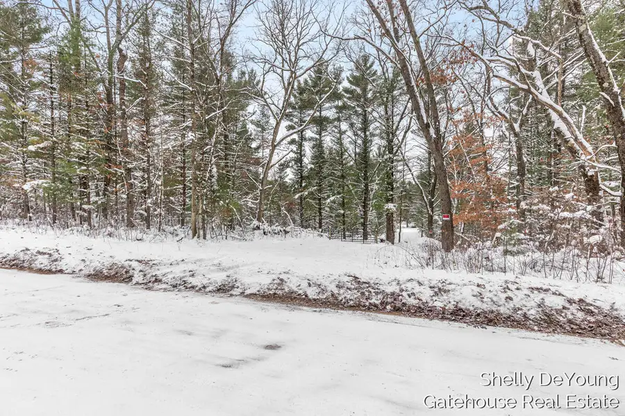 6007 S Cypress, Newaygo, MI 49337 - Image #3