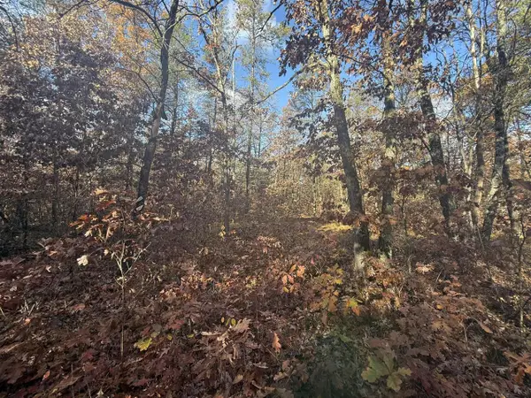 3544 S Cornell, Baldwin, MI 49304