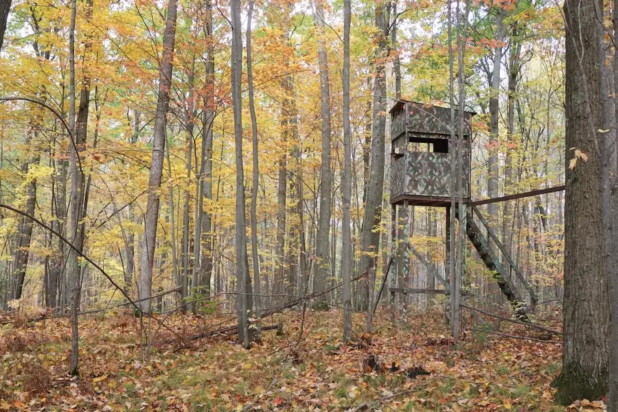 1547 N Harrison, Harrison, MI 48625 - Image #2