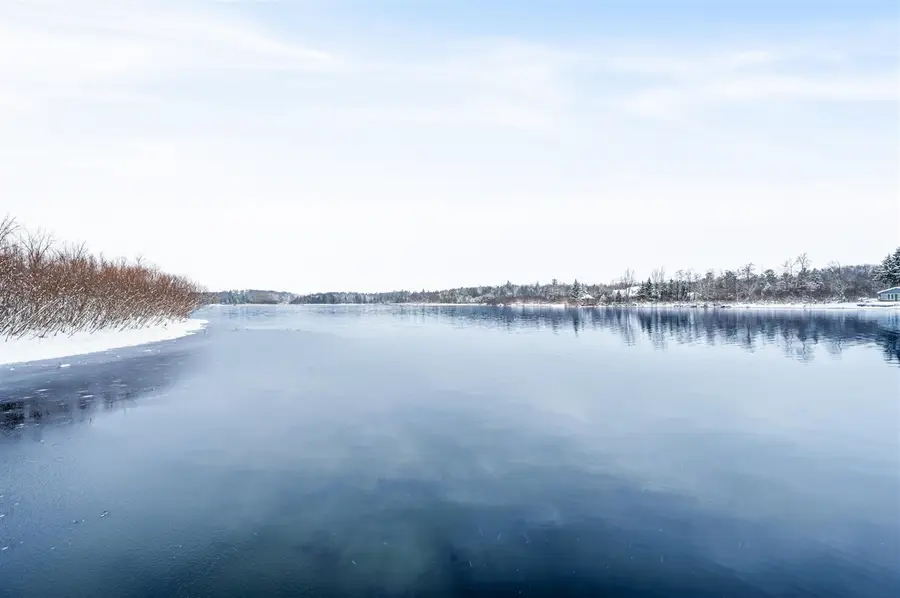 9586 E Lure, Hesperia, MI 49421 - #2