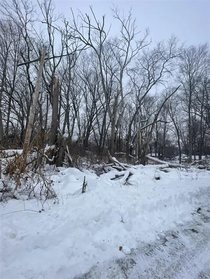 V/l 13th And Cypress, Three Rivers, MI 49093 - Image #3