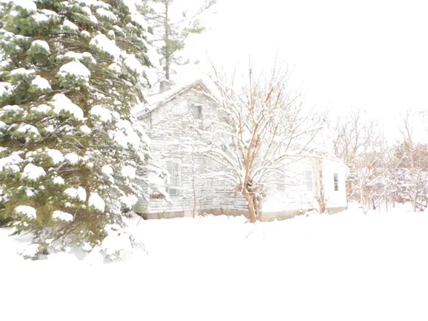 111 E Saint Marys, Decatur, MI 49045