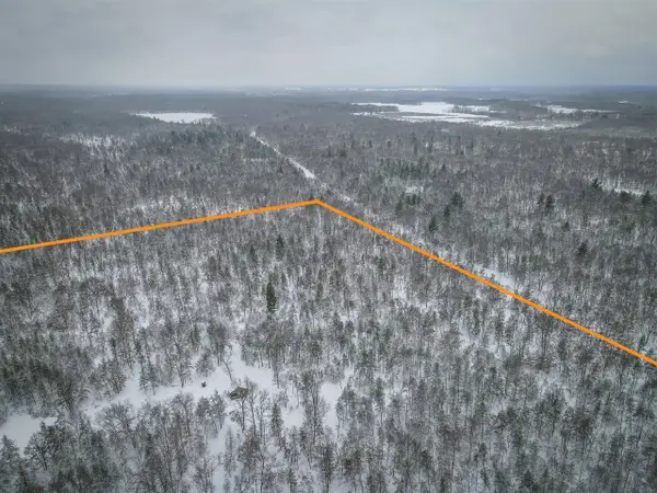 V/L Rybicki, Free Soil, MI 49411