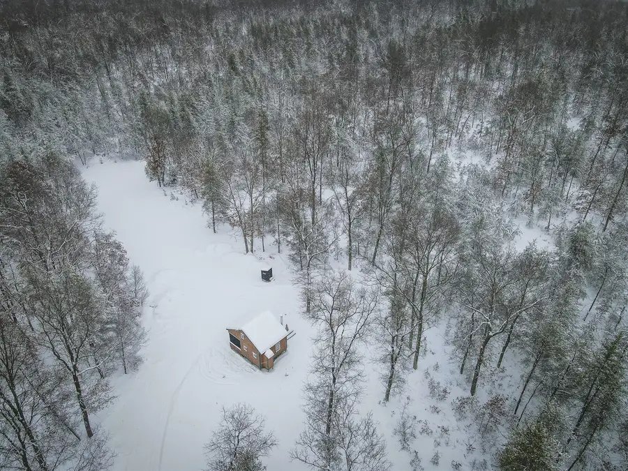 V/L Rybicki, Free Soil, MI 49411 - Image #3