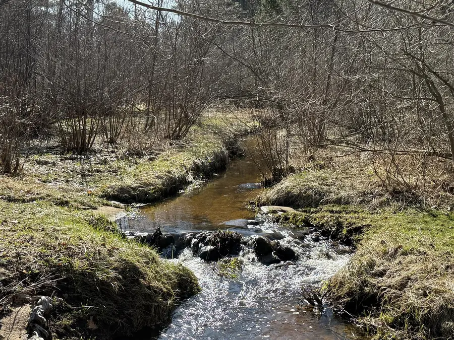 3345 W Madison, Hart, MI 49420 - #2