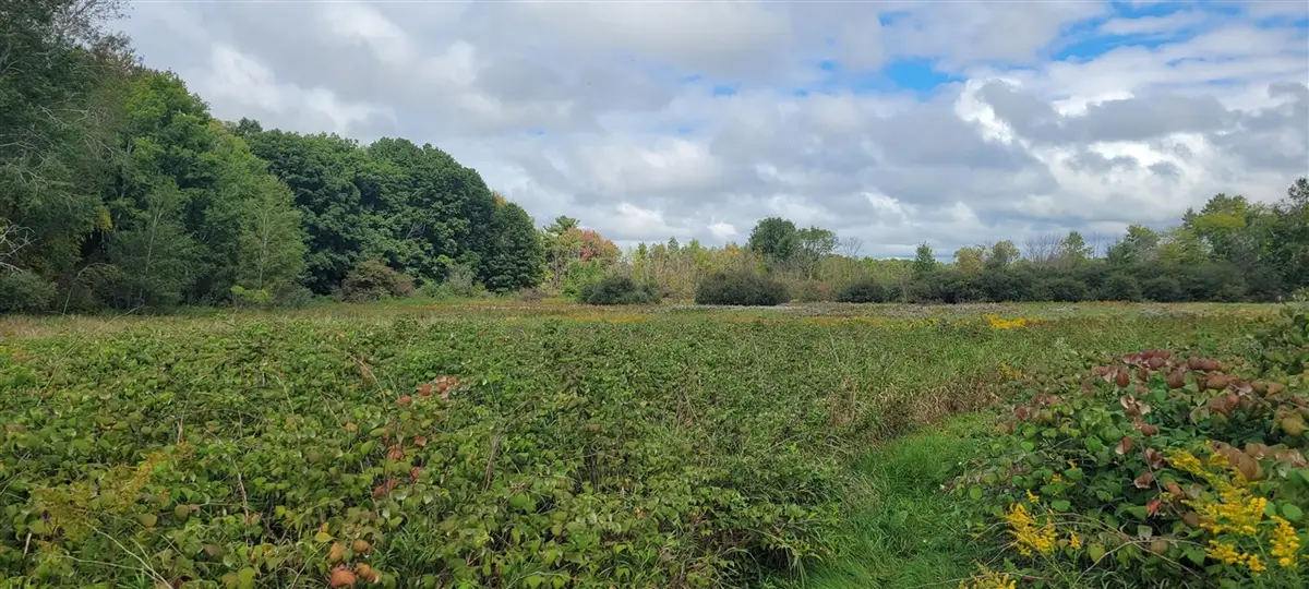 881 S Brye, Ludington, MI 49431 - Image #1