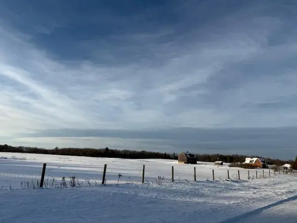 11661 75th, Mecosta, MI 49332