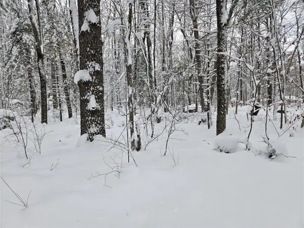 V/L S Whalen Lake, Baldwin, MI 49304