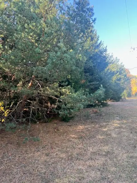 VL C Mckinley, Big Rapids, MI 49307 - #3