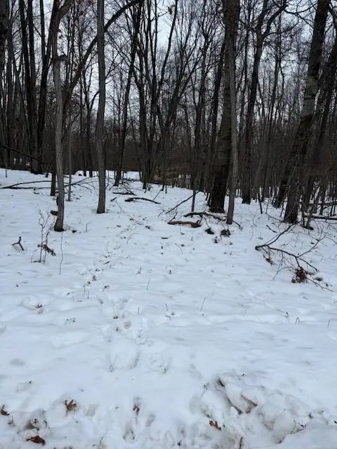 12090 Regina, Stanwood, MI 49346