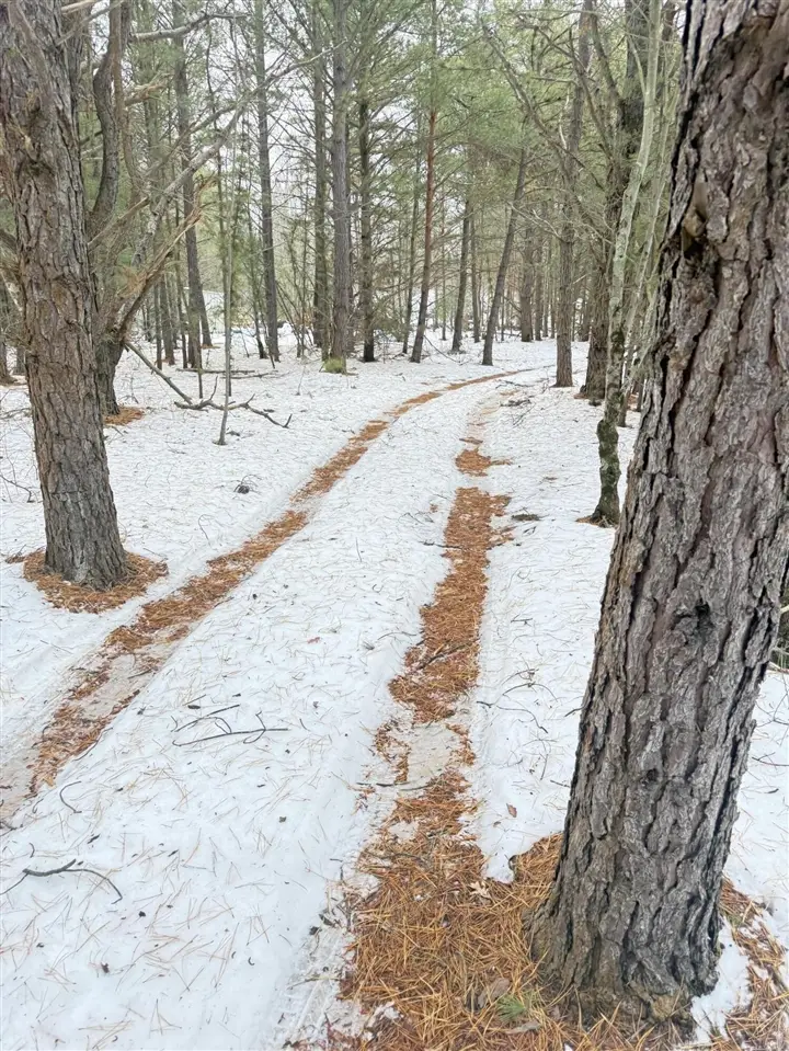 1302 W Tyler, Muskegon, MI 49445 - Image #1