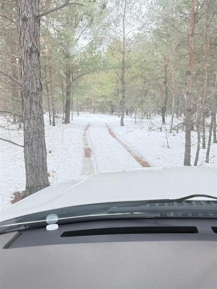 1302 W Tyler, Muskegon, MI 49445 - Image #3