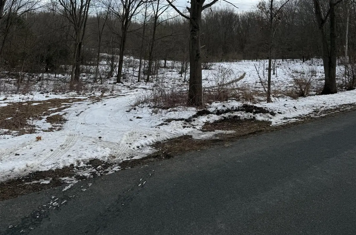 5 Acres 3rd, Kalamazoo, MI 49009 - #1