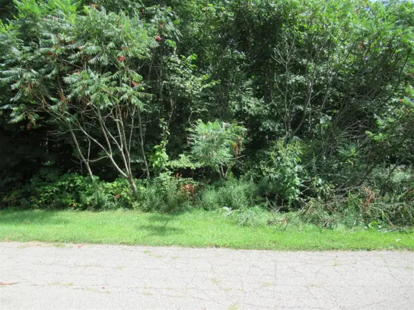 Tract 3 Deep Woods, Cassopolis, MI 49031