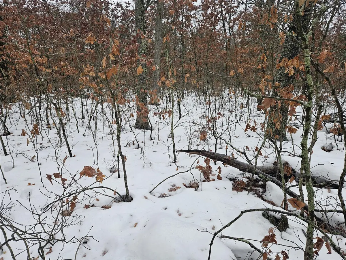 Lots 10-13 W Oliver St, Baldwin, MI 49304 - Image #1