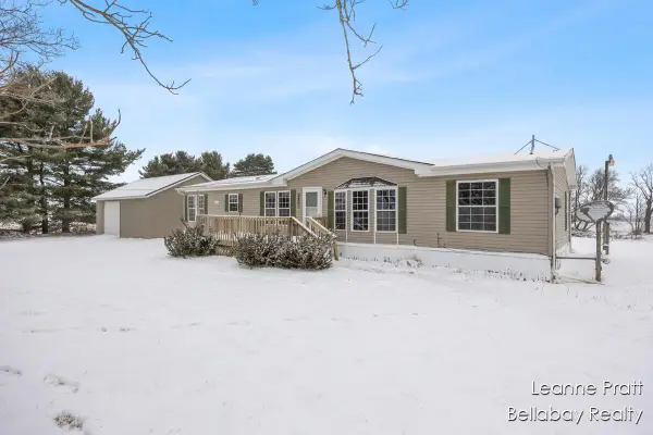 9820 W 5 Point, Bellevue, MI 49021