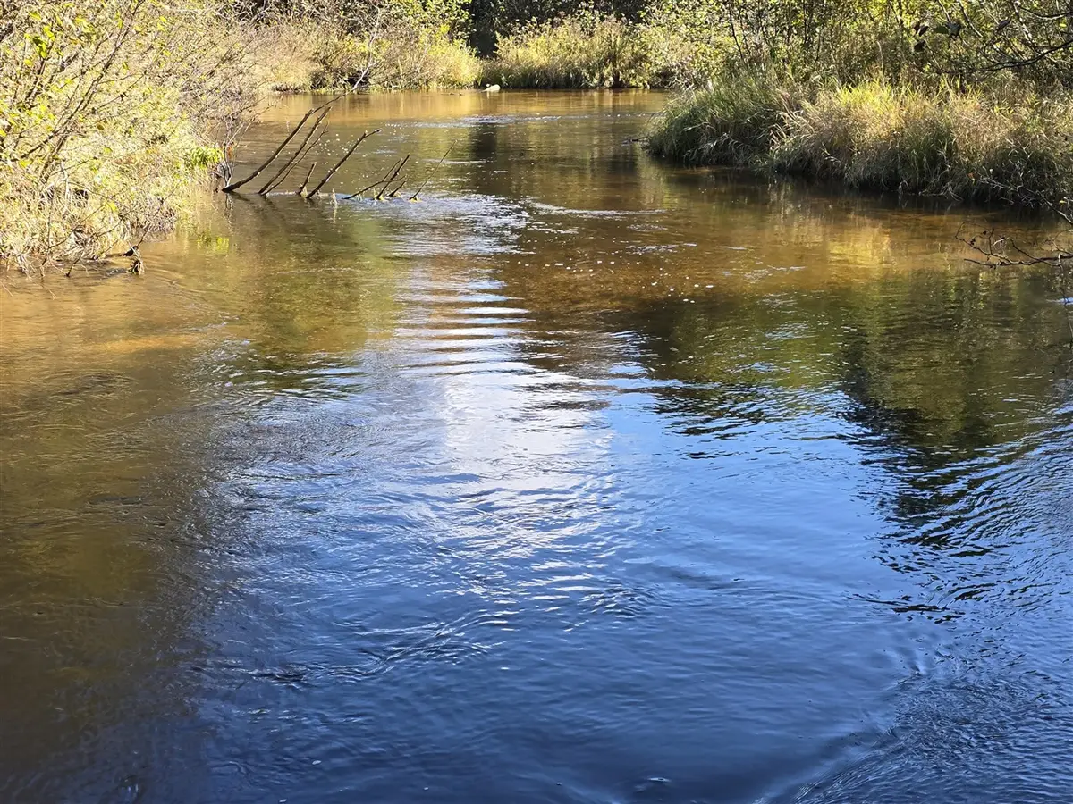 10652 N River, Irons, MI 49644 - Image #1