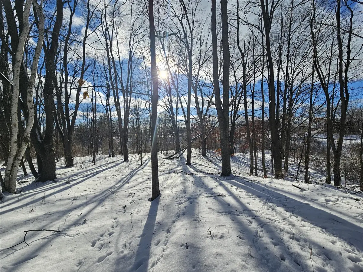 01 120th Ave, Rodney, MI 49342 - #1